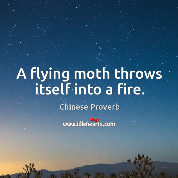 A flying moth throws itself into a fire. Image