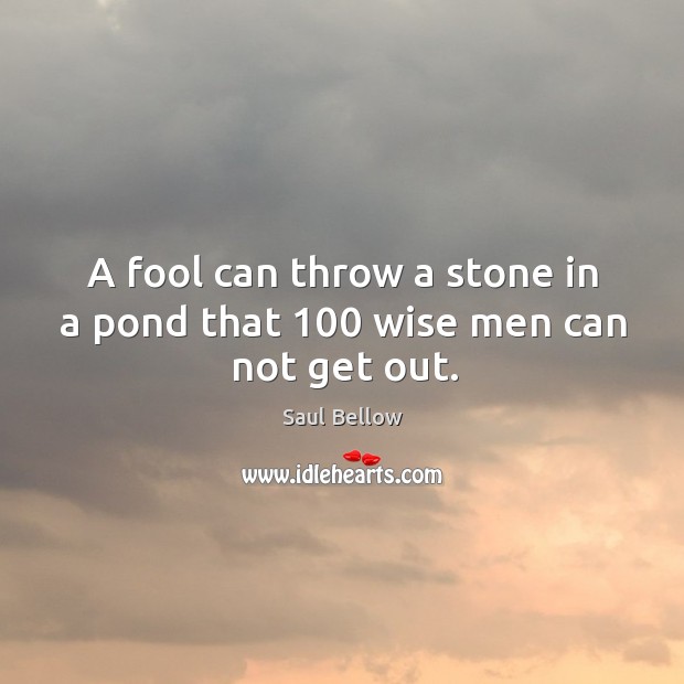 A fool can throw a stone in a pond that 100 wise men can not get out. Wise Quotes Image