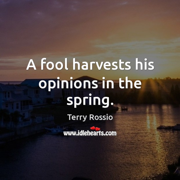 A fool harvests his opinions in the spring. Terry Rossio Picture Quote