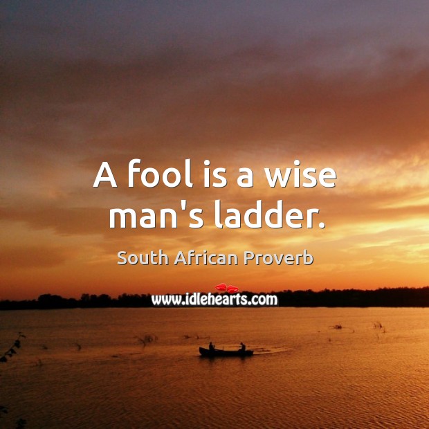 A fool is a wise man’s ladder. Image