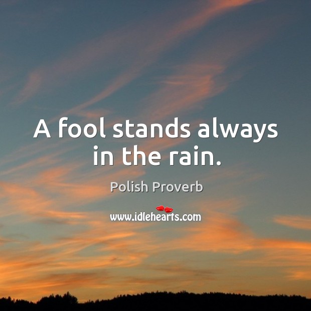 A fool stands always in the rain. Polish Proverbs Image