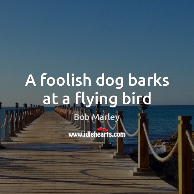 A foolish dog barks at a flying bird Bob Marley Picture Quote