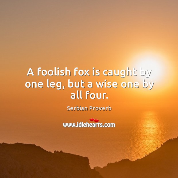 A foolish fox is caught by one leg, but a wise one by all four. Image