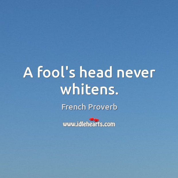 A fool’s head never whitens. French Proverbs Image