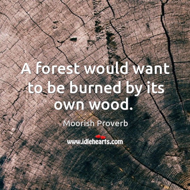 A forest would want to be burned by its own wood. Moorish Proverbs Image