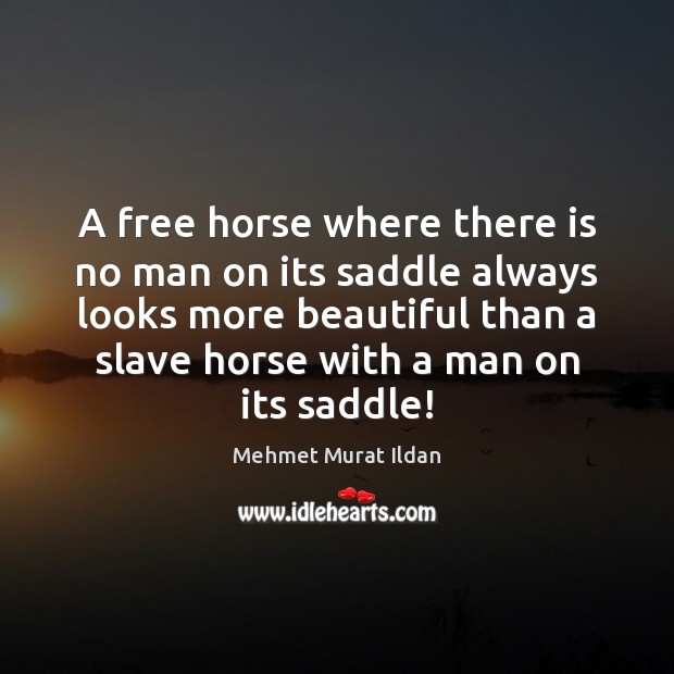 A free horse where there is no man on its saddle always Image