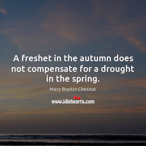 A freshet in the autumn does not compensate for a drought in the spring. Mary Boykin Chesnut Picture Quote