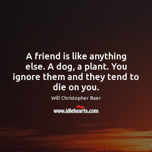 A friend is like anything else. A dog, a plant. You ignore Will Christopher Baer Picture Quote
