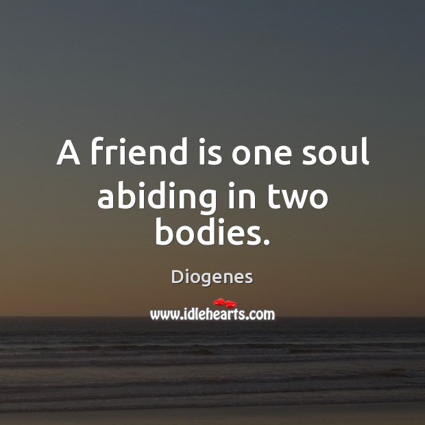 A friend is one soul abiding in two bodies. Image