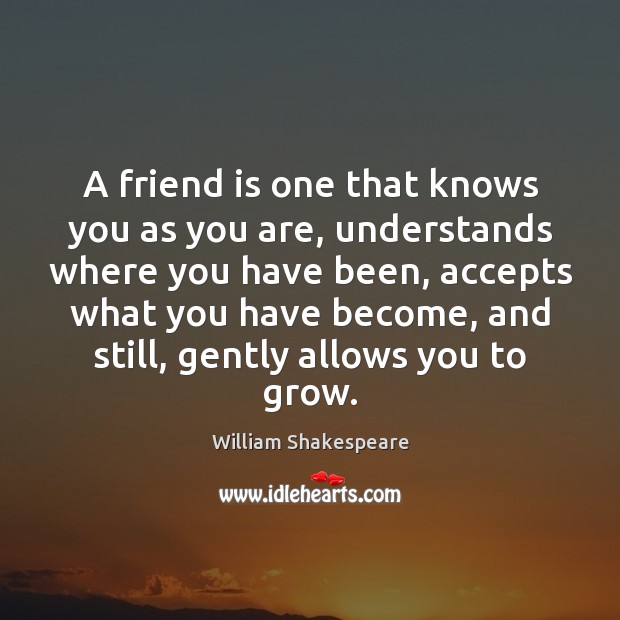 A friend is one that knows you as you are, understands where Friendship Quotes Image