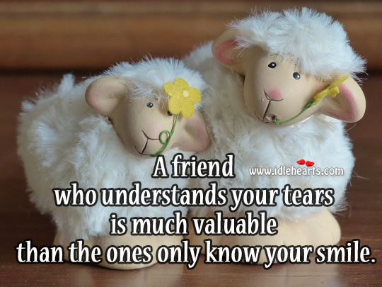 A friend who understands your tears is much valuable than the ones only know your smile. Image