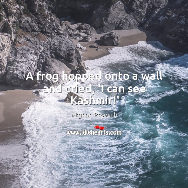 A frog hopped onto a wall and cried, ‘I can see kashmir!’ Afghan Proverbs Image