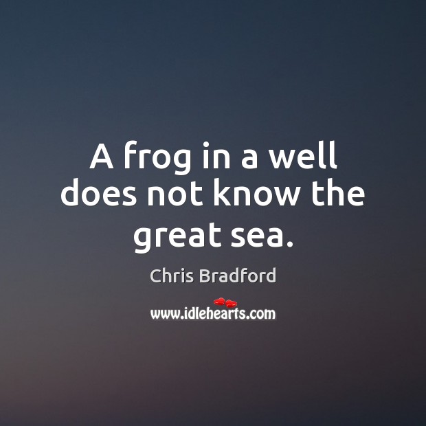 A frog in a well does not know the great sea. Image