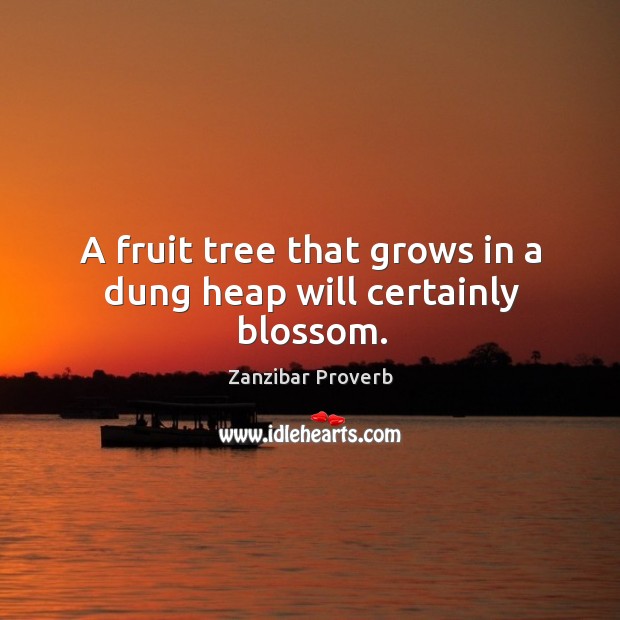 A fruit tree that grows in a dung heap will certainly blossom. Zanzibar Proverbs Image