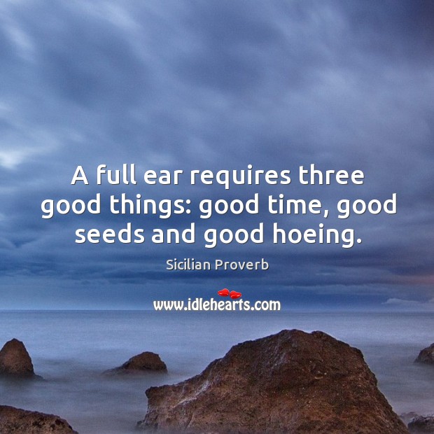 A full ear requires three good things: good time, good seeds and good hoeing. Sicilian Proverbs Image