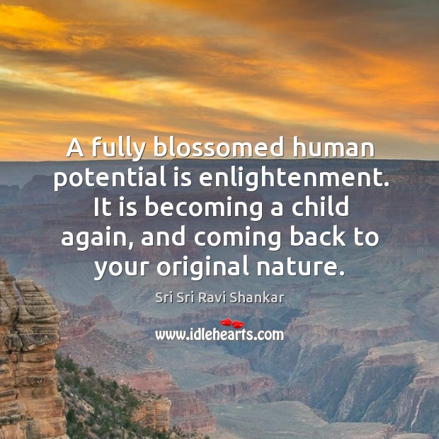 A fully blossomed human potential is enlightenment. It is becoming a child Sri Sri Ravi Shankar Picture Quote