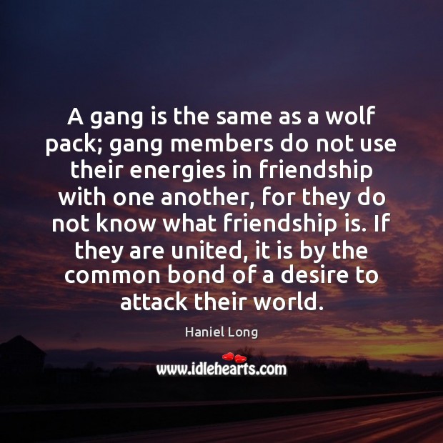A gang is the same as a wolf pack; gang members do Haniel Long Picture Quote