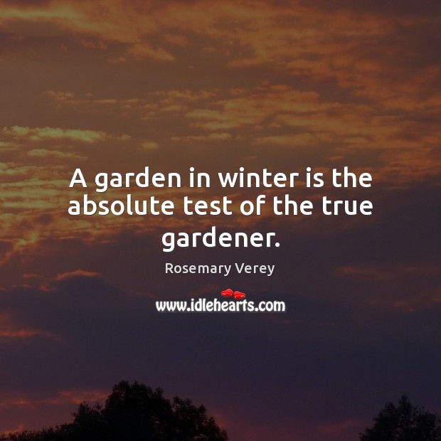 A garden in winter is the absolute test of the true gardener. Rosemary Verey Picture Quote