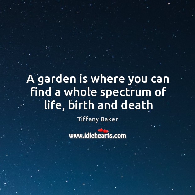 A garden is where you can find a whole spectrum of life, birth and death Tiffany Baker Picture Quote
