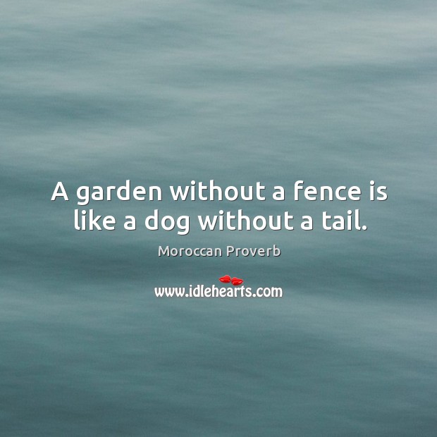 A garden without a fence is like a dog without a tail. Moroccan Proverbs Image