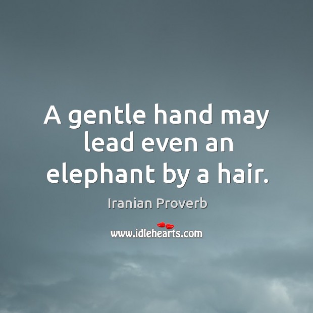 A gentle hand may lead even an elephant by a hair. Image