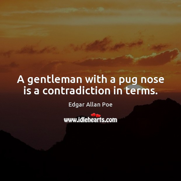 A gentleman with a pug nose is a contradiction in terms. Image