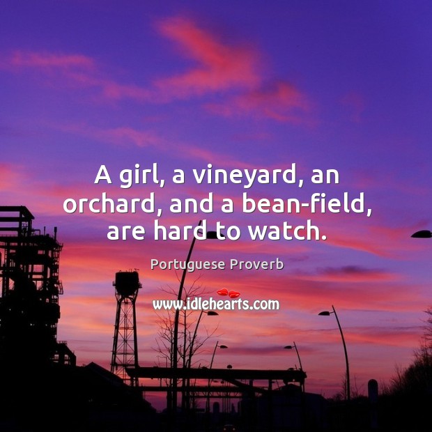A girl, a vineyard, an orchard, and a bean-field, are hard to watch. Image