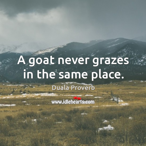 A goat never grazes in the same place. Duala Proverbs Image