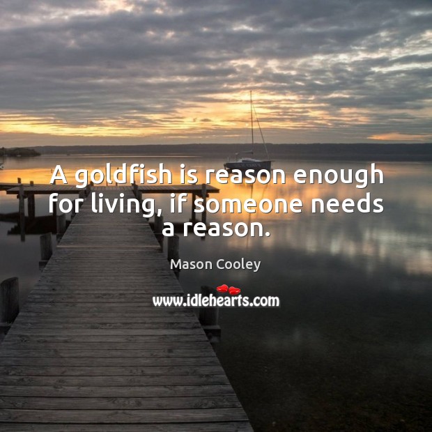 A goldfish is reason enough for living, if someone needs a reason. Mason Cooley Picture Quote