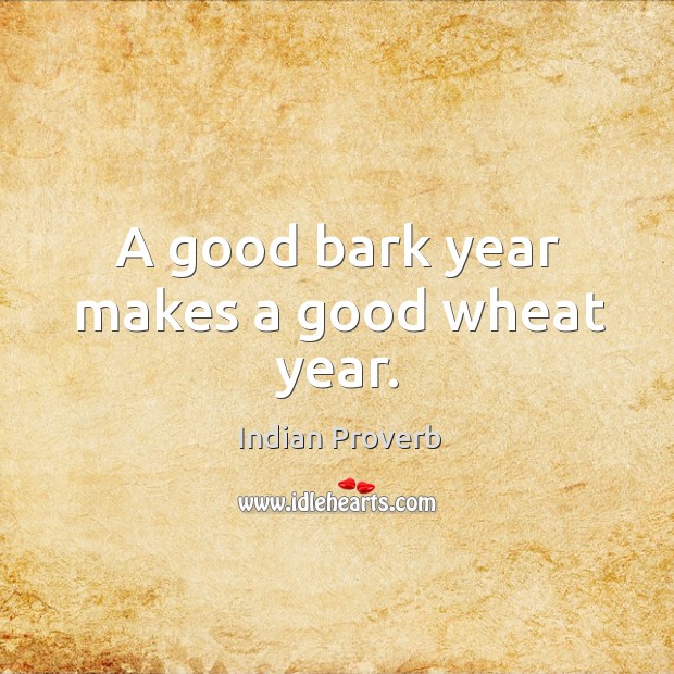 A good bark year makes a good wheat year. Image