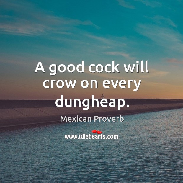 A good cock will crow on every dungheap. Mexican Proverbs Image