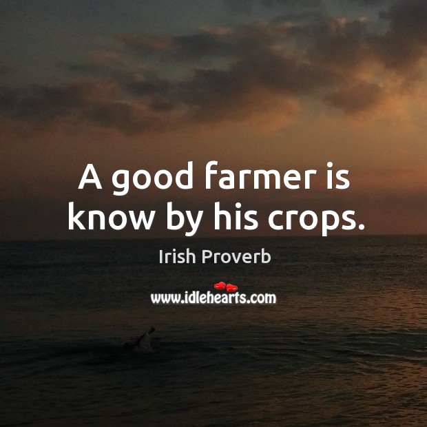 A good farmer is know by his crops. Irish Proverbs Image
