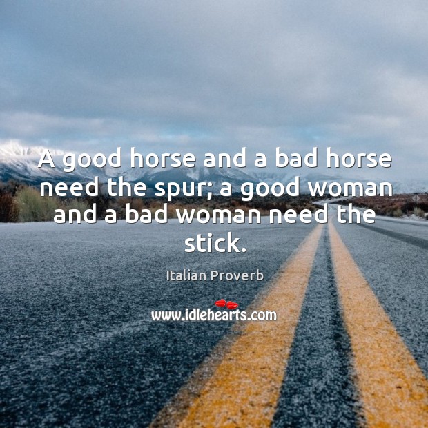 A good horse and a bad horse need the spur Women Quotes Image