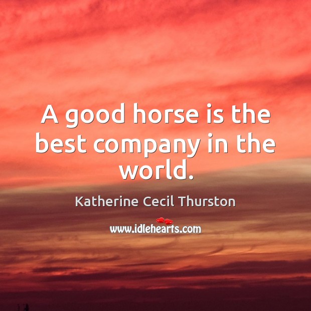 A good horse is the best company in the world. Katherine Cecil Thurston Picture Quote