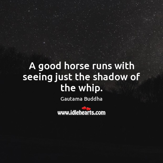 A good horse runs with seeing just the shadow of the whip. Gautama Buddha Picture Quote