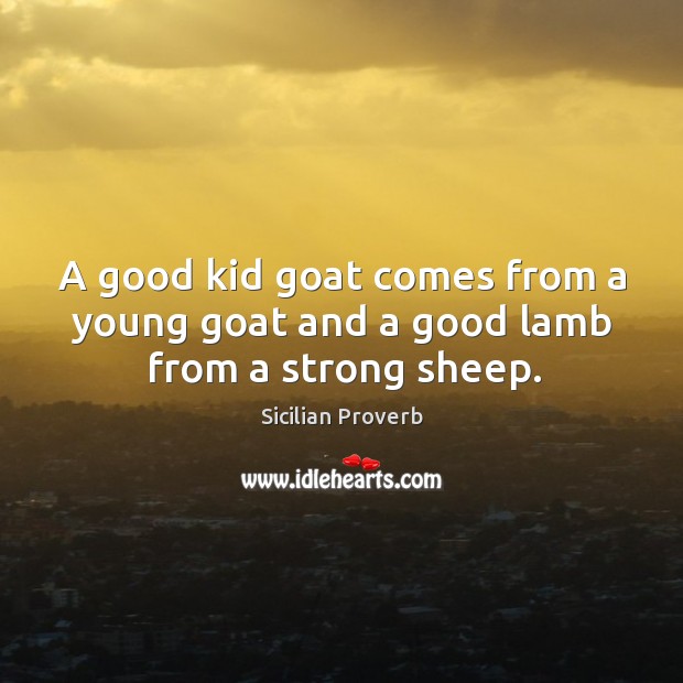 A good kid goat comes from a young goat and a good lamb Sicilian Proverbs Image