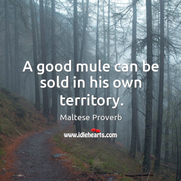 A good mule can be sold in his own territory. Image