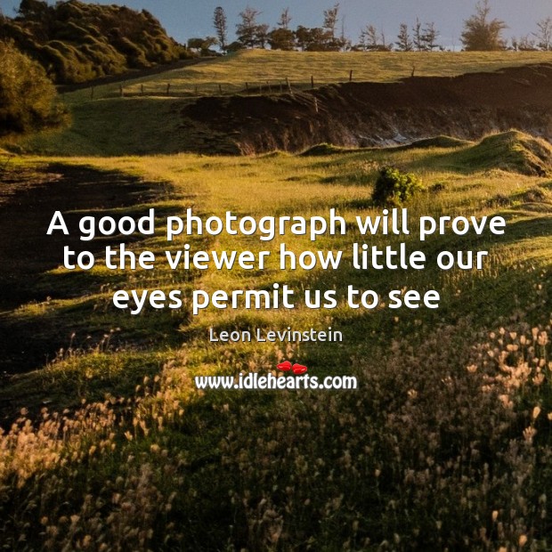 A good photograph will prove to the viewer how little our eyes permit us to see Leon Levinstein Picture Quote