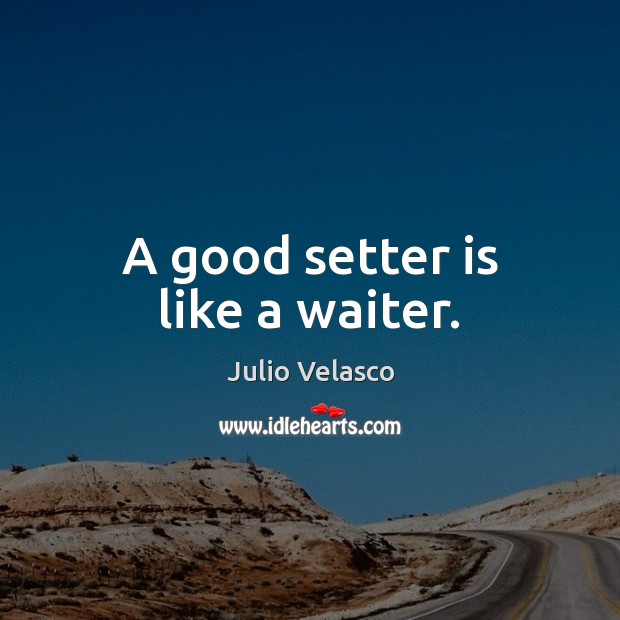 A good setter is like a waiter. Julio Velasco Picture Quote