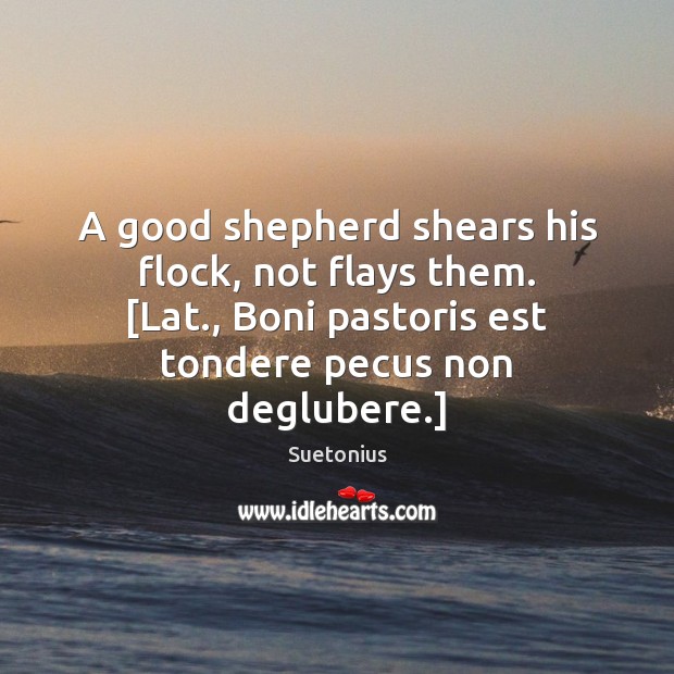 A good shepherd shears his flock, not flays them. [Lat., Boni pastoris Suetonius Picture Quote