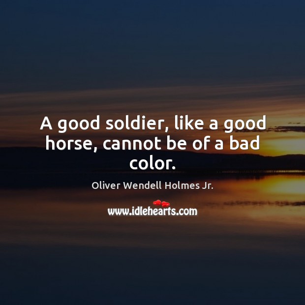 A good soldier, like a good horse, cannot be of a bad color. Oliver Wendell Holmes Jr. Picture Quote