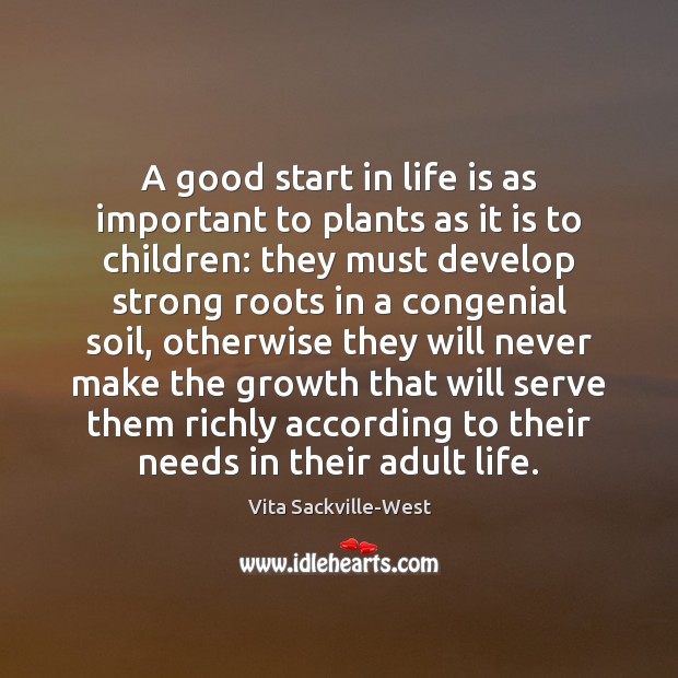 A good start in life is as important to plants as it Vita Sackville-West Picture Quote