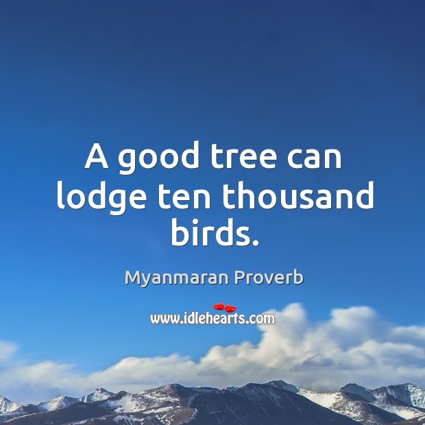 A good tree can lodge ten thousand birds. Image