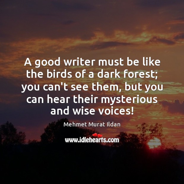 A good writer must be like the birds of a dark forest; Image
