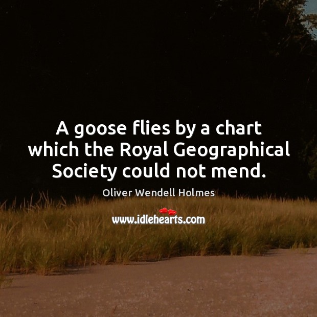 A goose flies by a chart which the Royal Geographical Society could not mend. Oliver Wendell Holmes Picture Quote