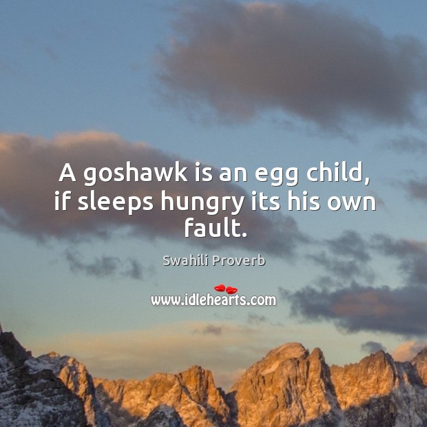 A goshawk is an egg child, if sleeps hungry its his own fault. Swahili Proverbs Image