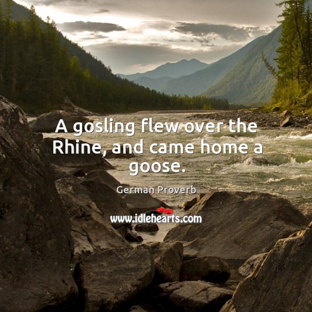 A gosling flew over the rhine, and came home a goose. German Proverbs Image