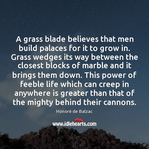 A grass blade believes that men build palaces for it to grow Image