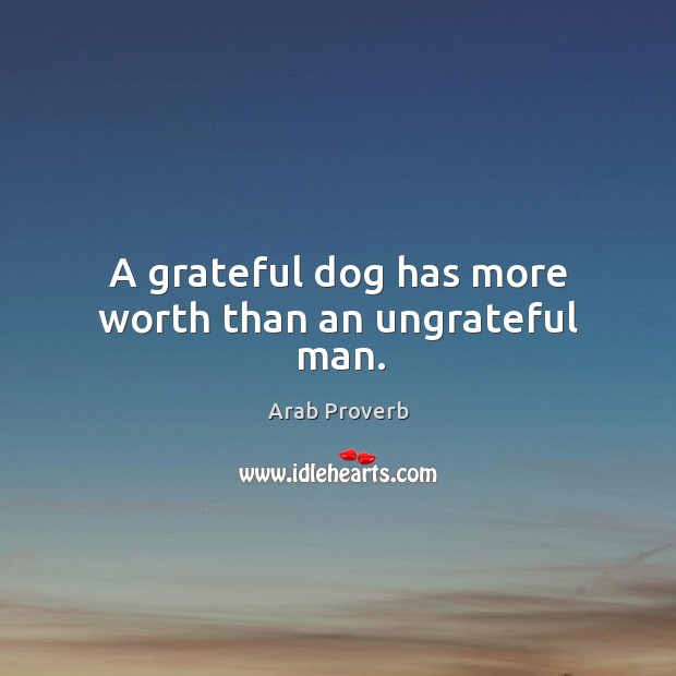 A grateful dog has more worth than an ungrateful man. Image