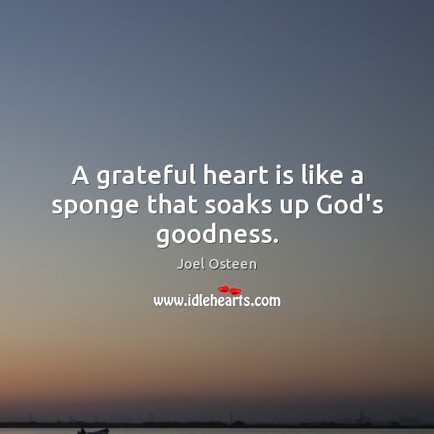 A grateful heart is like a sponge that soaks up God’s goodness. 